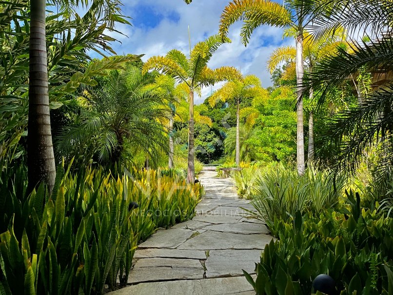 amazing villa for sale altos de trancoso bahia