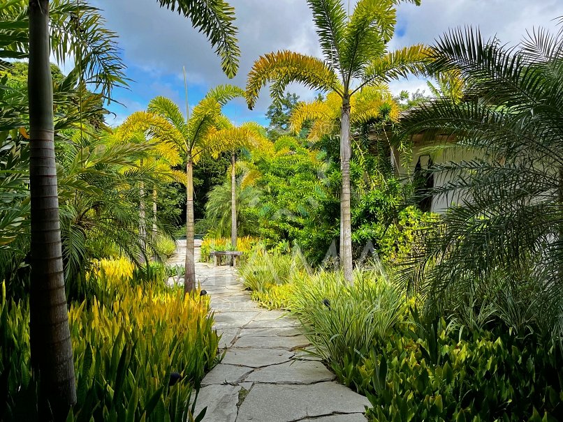 the most beautifull villa for sale altos de trancoso brazil